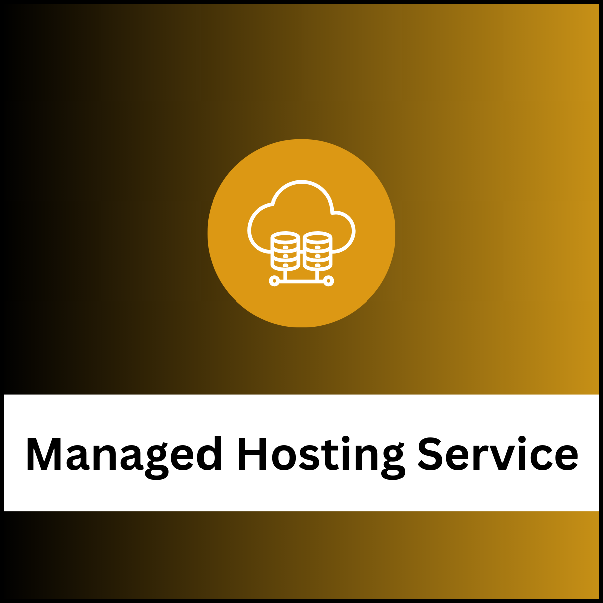 Managed Hosting Service