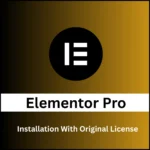 Elementor Pro License activattion.webp